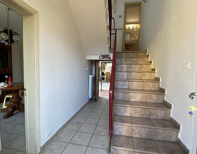 IMG_0011jpeg